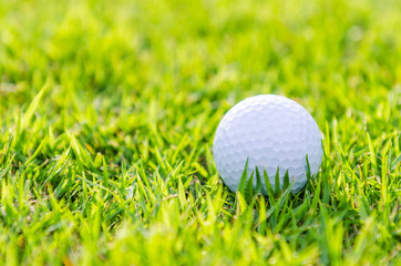 Golf ball on green grass