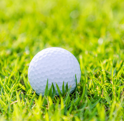 Golf ball on green grass