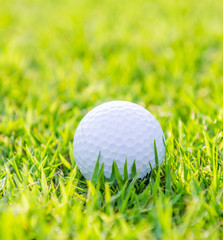 Golf ball on green grass