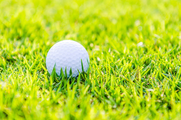 Golf ball on green grass