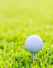 Golf ball on green grass