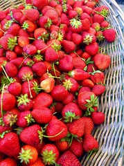 Strawberries at farmers market in Italy