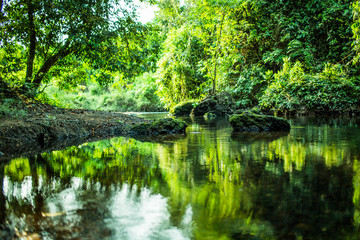 The green view with tranquil moment
