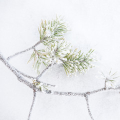 Frozen branch and snow background