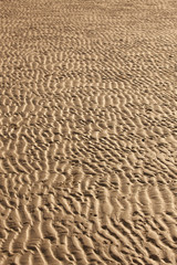 Beach sand texture wave pattern
