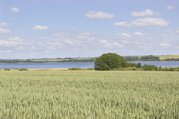 Kulturlandschaft in der Uckermark