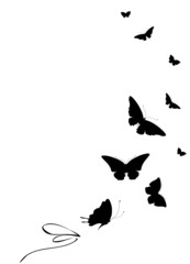 butterflies design