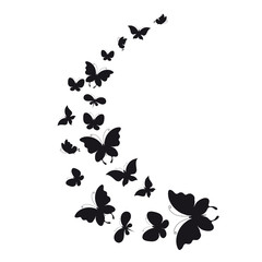 butterflies design