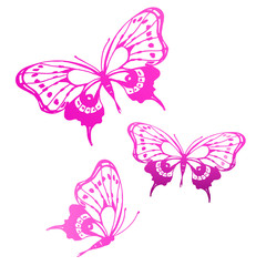 butterflies design