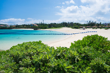 沖縄の海　恩納海浜公園