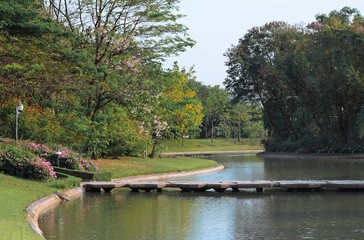 Fototapeta na wymiar Central Park pond and bridge. Bangkok, Thailand