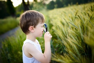 little boy watching rye with a magnifying glass