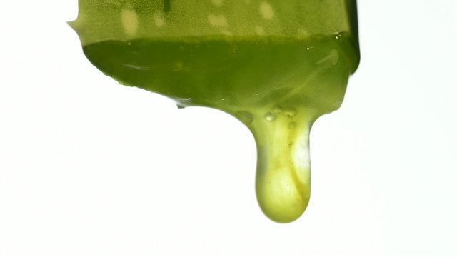 Aloe vera Gel tropft aus einem Aloe Blatt