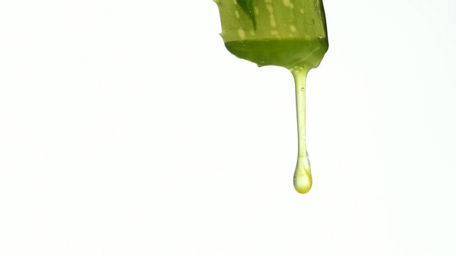 Aloe vera Gel tropft aus einem Aloe Blatt
