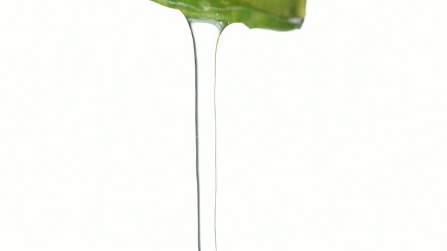 Aloe vera Gel tropft aus einem Aloe Blatt