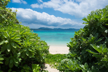 Fototapeta na wymiar 沖縄の海　21世紀の森ビーチ