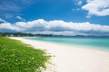 沖縄の海　21世紀の森ビーチ