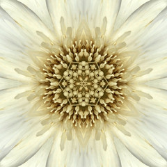 White Mandala Concentric Flower Center Kaleidoscope