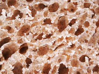 bread on a white background