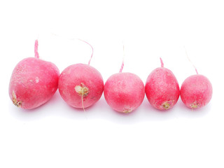 radishes on a white background