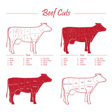 Cow beef meat cuts scheme red on white