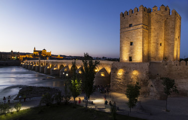 Fototapeta premium puente romano