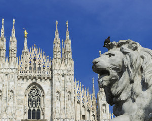 DUOMO E LEONE 2