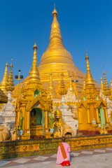 Naklejka premium Young Nun praying at the Shwedagon Paya