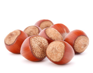 hazelnut or filbert nut isolated on white background cutout