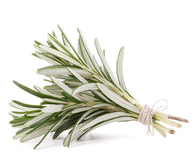 rosemary herb spice leaves isolated on white background cutout