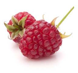 Sweet raspberry isolated on white background cutout