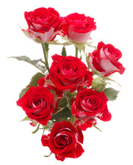 Red rose flower bouquet isolated on white background cutout