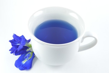 Asian pigeonwings flower drink