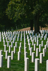 Arlington National Cemetery