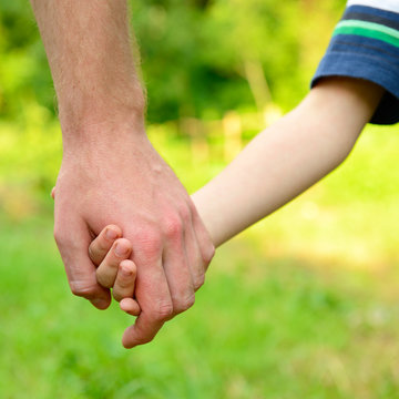 hands, father lead his child in summer garden nature outdoor, tr