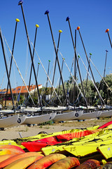 Naklejka premium Centre d'activités aquatiques