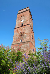 Fototapeta na wymiar Blüten am alten Leuchtturm