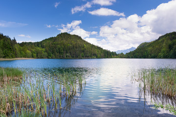 lake alatsee in bavaria germany with reeds and blue sky