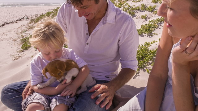 Family and pet dog sitting on beach
