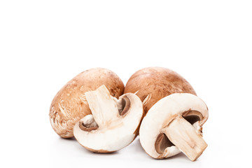 Fototapeta premium mushroom on white