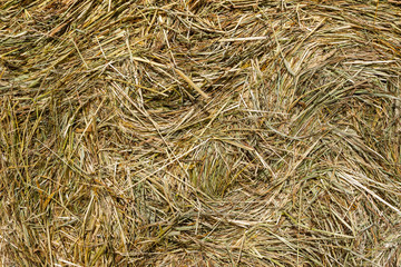Hay background.