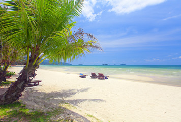 Obraz na płótnie Canvas tropical beach with coconut palm