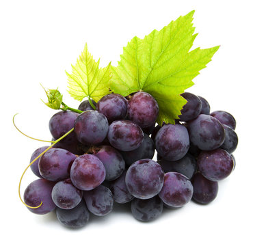 Fresh Grape