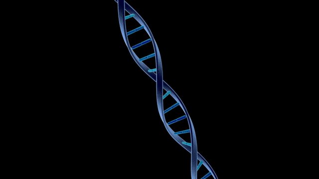 Slow rotating dna with Alpha channel