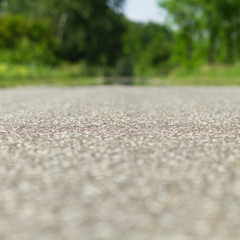 Road in the forest in summer