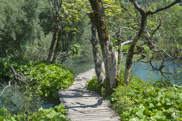 Lake and walk pathway