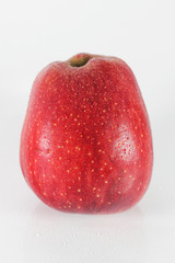 red apple in drops of water