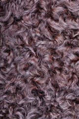 Karakul fur texture
