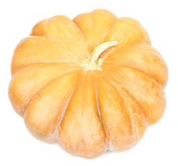 Pumpkin isolated on white
