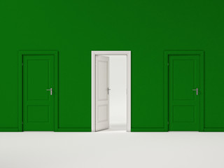 White Door on Green Wall, Illustration Business Door